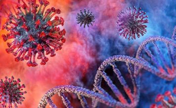 করোনা শনাক্ত ২৮০৯ ও মৃত্যু ৩০ জন