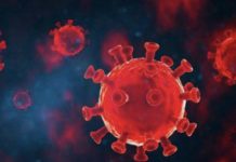 করোনায় ২৩১ জনের প্রাণহানি, শনাক্ত ১৪৮৪৪