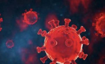 করোনায় একদিনে আরও ২৩ জনের মৃত্যু